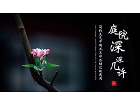 简约海棠花背景PPT模板下载-第一PPT