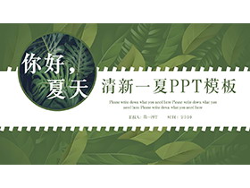 精美植物绿叶背景的你好夏天PPT模板下载-第一PPT