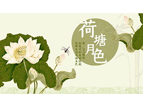 工笔荷花荷叶背景PPT模板下载-第一PPT