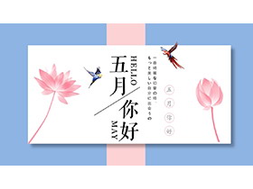 粉色荷花与飞鸟背景的五月你好PPT模板下载-第一PPT