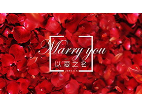 红色花瓣背景的浪漫婚礼相册PPT模板下载-第一PPT