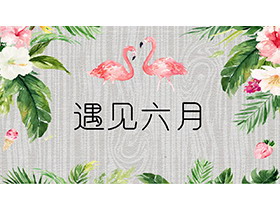 水彩花卉火烈鸟背景的遇见六月PPT模板下载-第一PPT