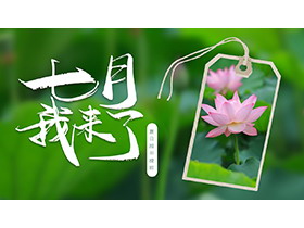绿色荷叶粉色荷花背景的七月我来了PPT模板下载-第一PPT