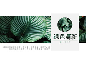 清新绿叶背景PPT模板免费下载-第一PPT