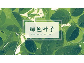 绿色水彩叶子背景PPT模板下载-第一PPT