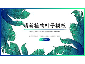 清新绿色阔叶叶子背景PPT模板免费下载-第一PPT