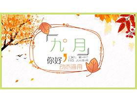 秋天的树木和叶子背景九月你好PPT模板-第一PPT