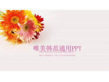 唯美菊花背景PPT模板免费下载-第一PPT