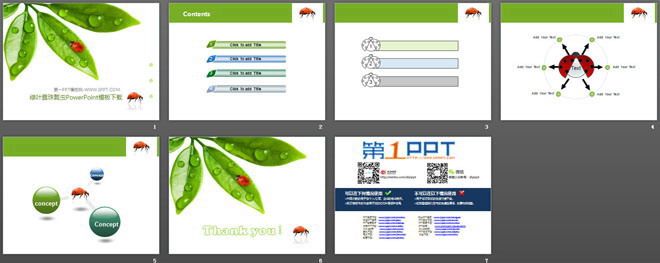图片[2]-清新绿叶露珠七星瓢虫背景PPT模板-第一PPT