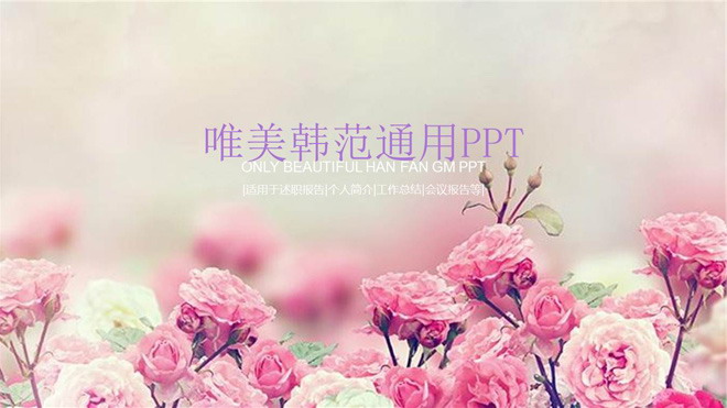 图片[1]-粉色蔷薇花背景的韩国PPT模板-第一PPT