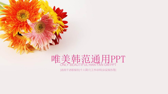 图片[1]-唯美菊花背景PPT模板免费下载-第一PPT
