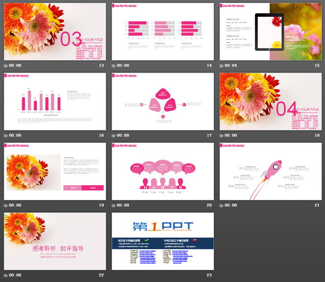 图片[3]-唯美菊花背景PPT模板免费下载-第一PPT