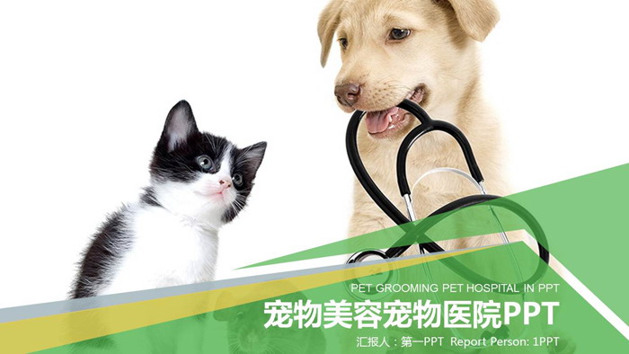 图片[1]-小狗小猫背景的宠物PPT模板-第一PPT