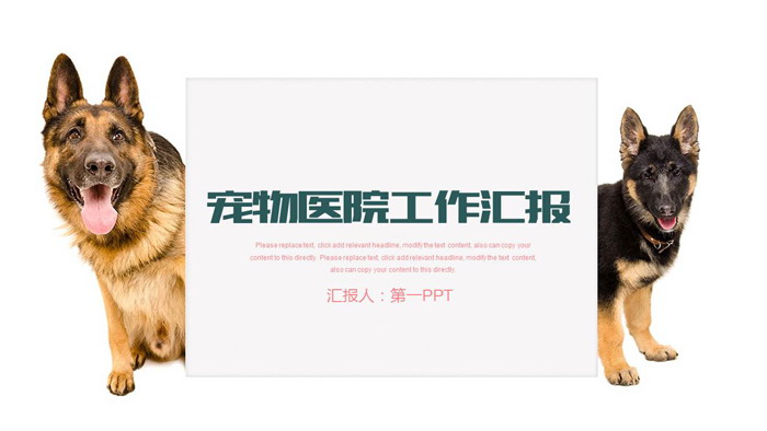 图片[1]-牧羊犬背景的宠物医院PPT模板-第一PPT