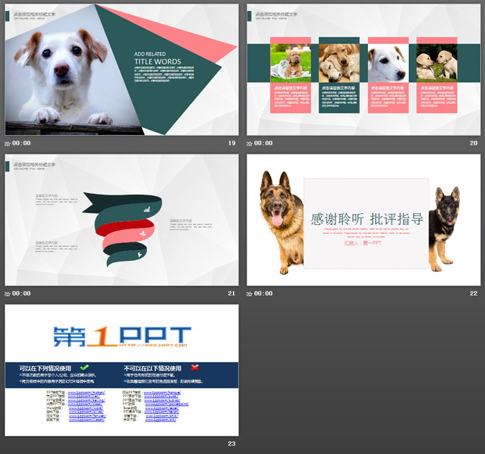 图片[5]-牧羊犬背景的宠物医院PPT模板-第一PPT