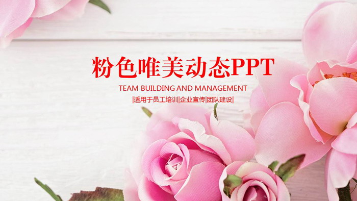 图片[1]-粉色唯美玫瑰背景PPT模板-第一PPT