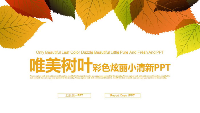 图片[1]-清新叶子背景的工作计划PPT模板-第一PPT