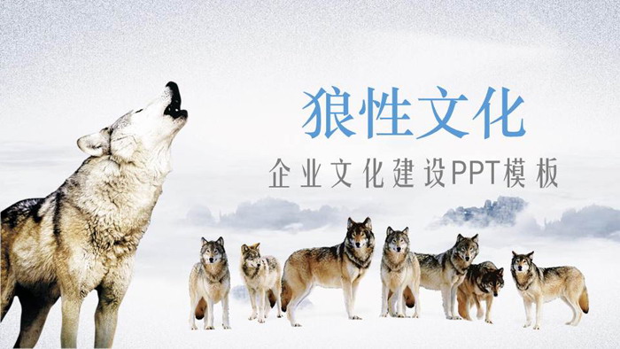 图片[1]-狼群背景的狼性企业文化培训PPT模板-第一PPT