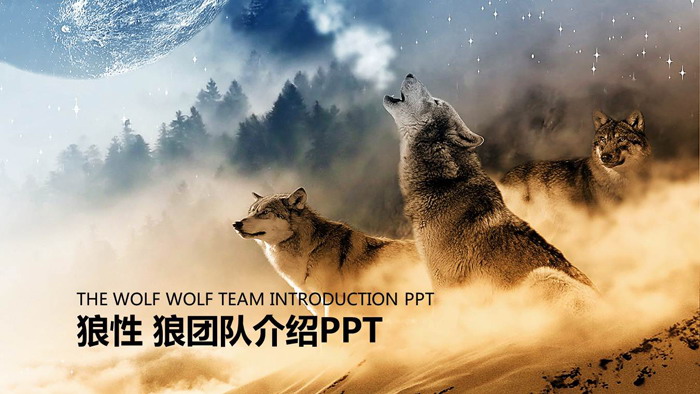 图片[1]-狼群背景的狼性团队文化PPT模板-第一PPT