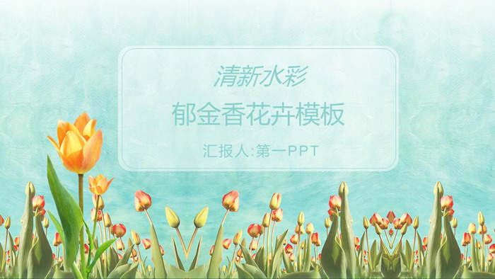 图片[1]-清新水彩郁金香PPT模板-第一PPT