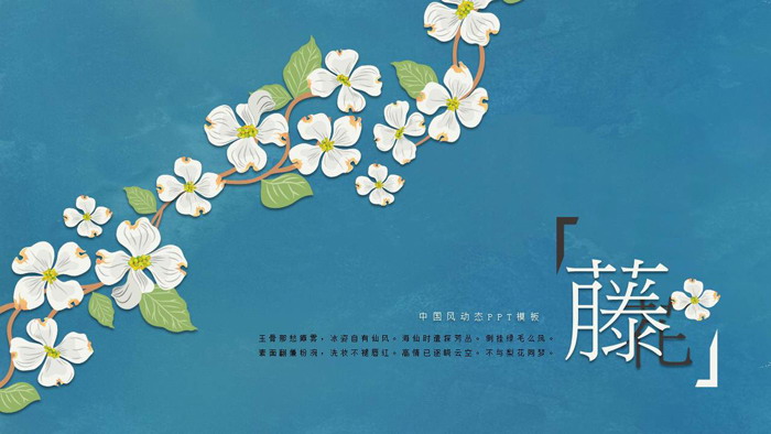 图片[1]-清新唯美藤蔓小花PPT模板-第一PPT