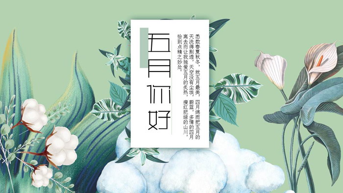 图片[1]-艺术手绘棉花百合背景五月你好PPT模板-第一PPT