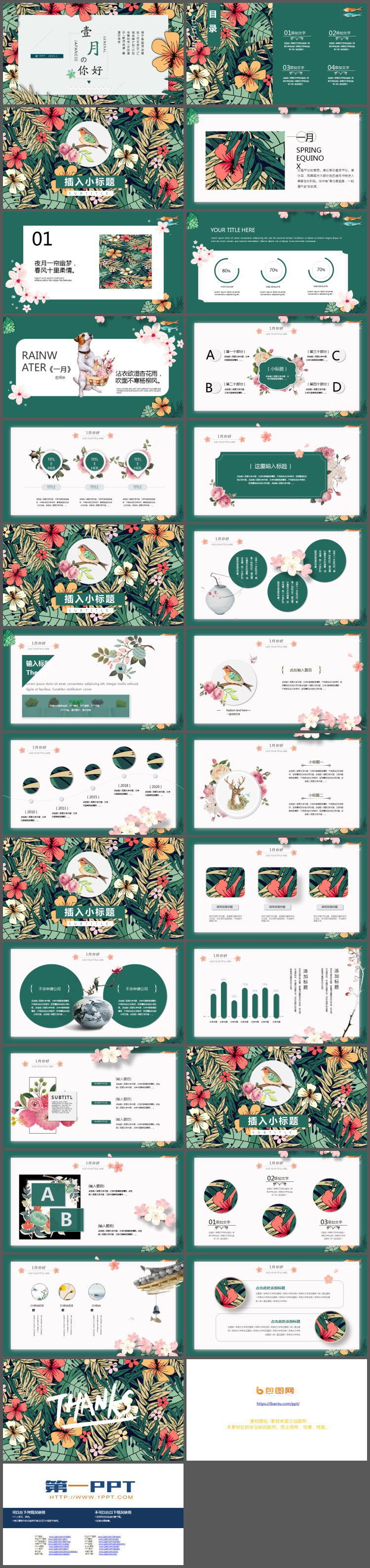 图片[2]-精美植物插画风一月你好PPT模板-第一PPT