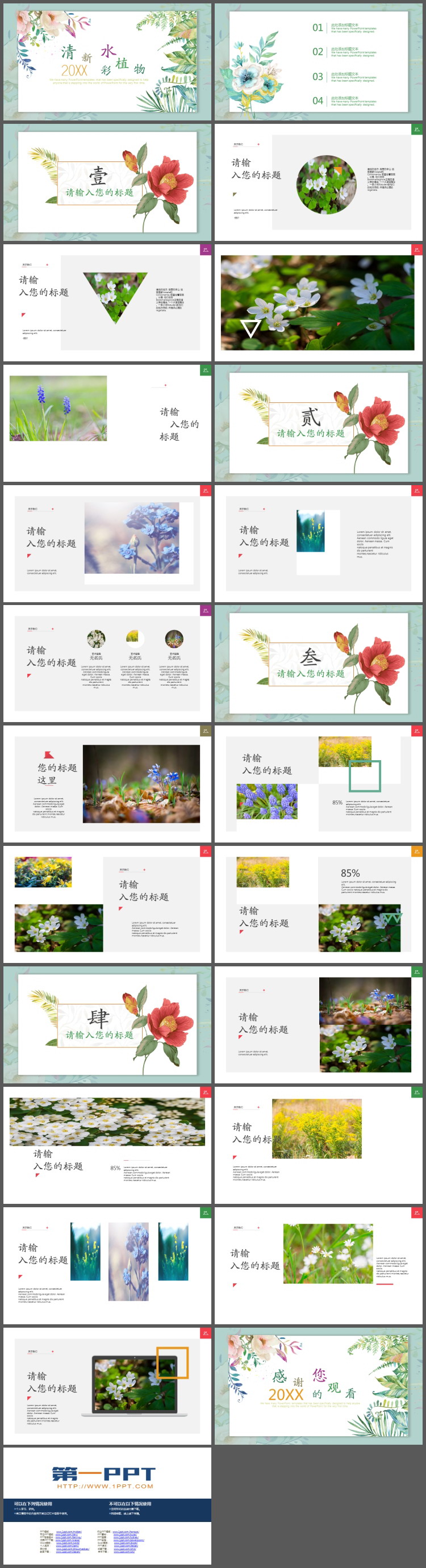 图片[2]-清新水彩植物叶子背景植物相册PPT模板-第一PPT