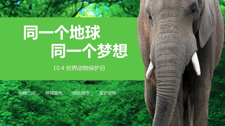 图片[1]-森林大象背景的世界动物日主题班会PPT模板-第一PPT