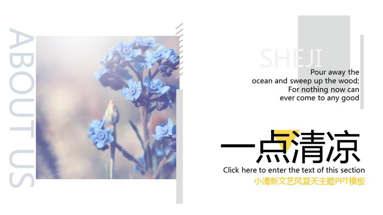 图片[1]-植物花卉背景的画册风夏日主题PPT模板-第一PPT