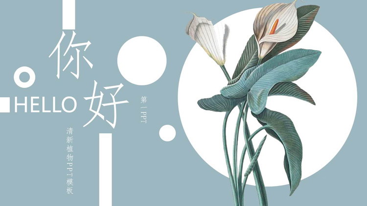 图片[1]-精美清新白掌植物背景的你好主题PPT模板-第一PPT