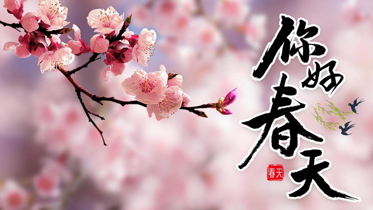 图片[1]-粉色桃花背景的你好春天PPT模板-第一PPT