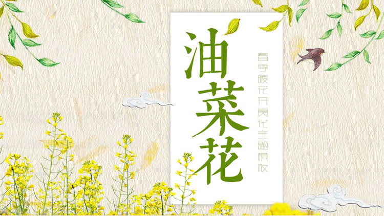 图片[1]-水彩油菜花PPT模板-第一PPT