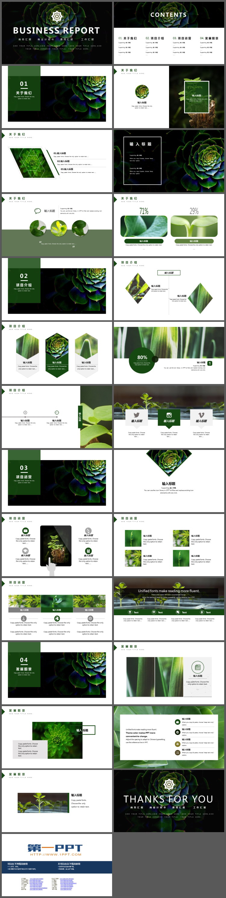 图片[2]-绿色多肉植物背景的商务汇报PPT模板-第一PPT