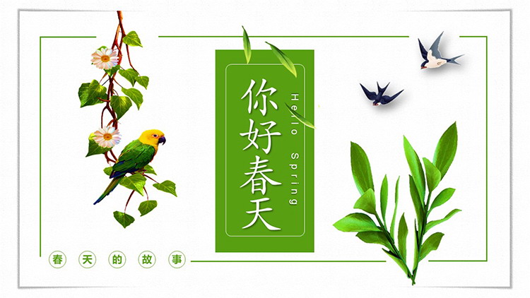 图片[1]-绿色植物燕子鹦鹉背景的小清新你好春天PPT模板-第一PPT