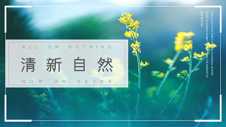 图片[1]-绿色清新杂志风植物鲜花PPT模板免费下载-第一PPT