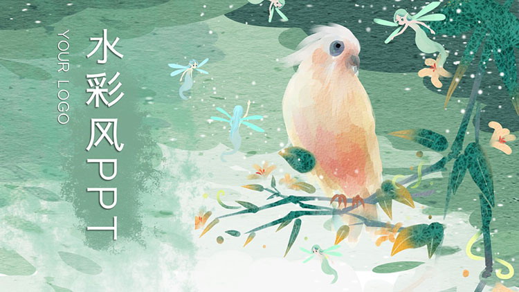 图片[1]-水彩鹦鹉背景的插画风PPT模板免费下载-第一PPT