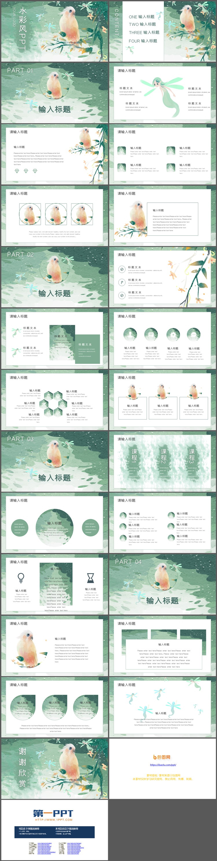 图片[2]-水彩鹦鹉背景的插画风PPT模板免费下载-第一PPT