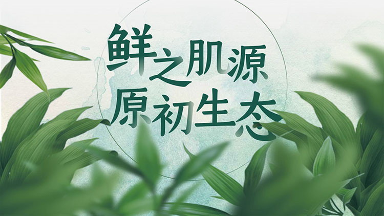 图片[1]-绿叶背景的化妆品产品宣传介绍PPT模板下载-第一PPT