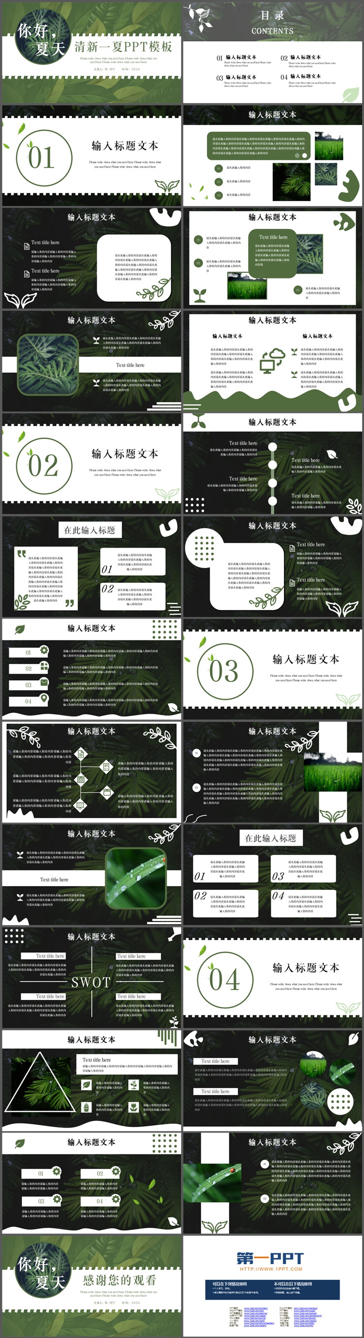 图片[2]-精美植物绿叶背景的你好夏天PPT模板下载-第一PPT