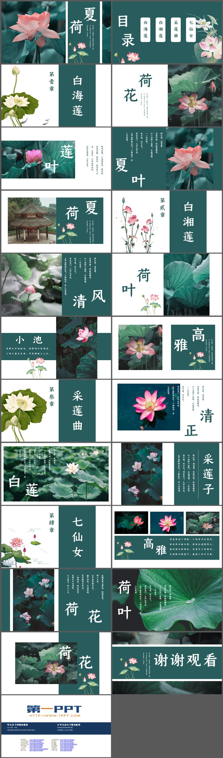 图片[2]-荷花照片背景的夏荷PPT模板下载-第一PPT