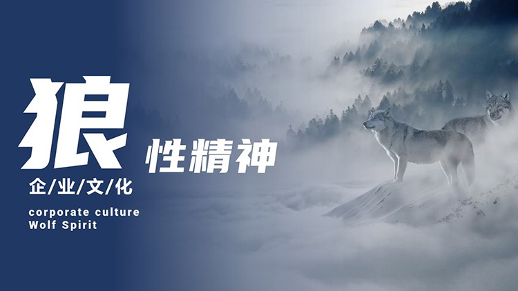 图片[1]-狼群背景的狼性精神企业文化培训PPT模板下载-第一PPT