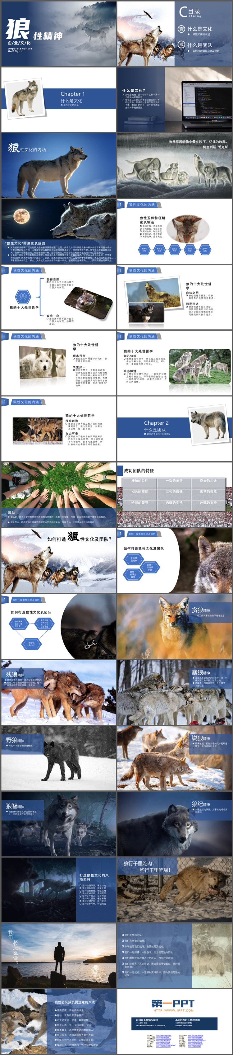 图片[2]-狼群背景的狼性精神企业文化培训PPT模板下载-第一PPT