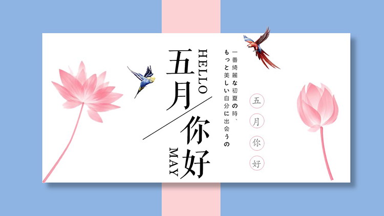 图片[1]-粉色荷花与飞鸟背景的五月你好PPT模板下载-第一PPT