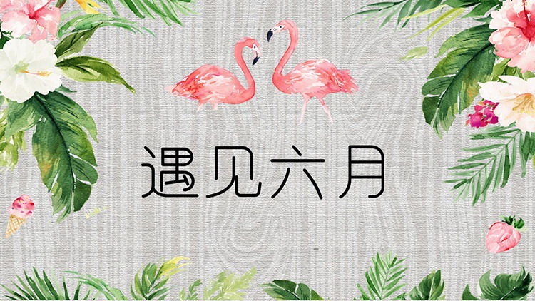 图片[1]-水彩花卉火烈鸟背景的遇见六月PPT模板下载-第一PPT