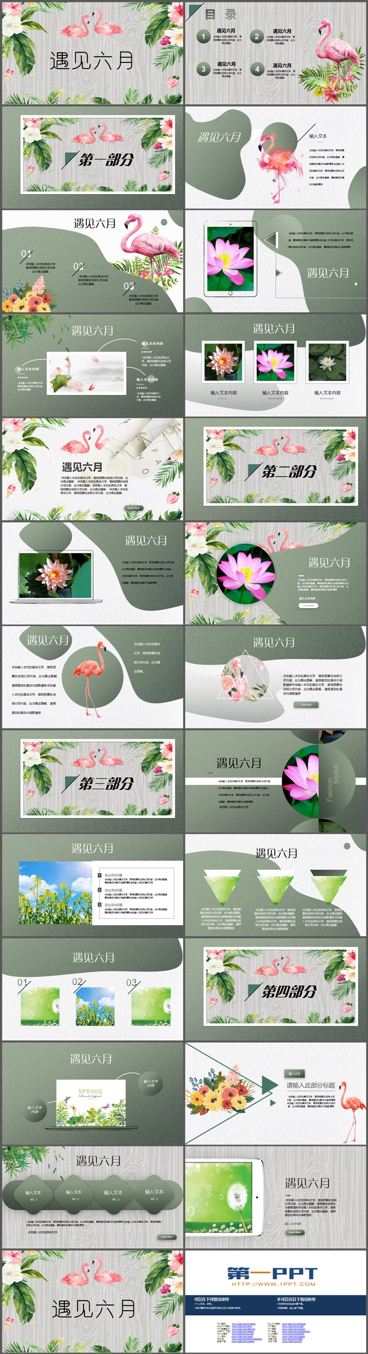 图片[2]-水彩花卉火烈鸟背景的遇见六月PPT模板下载-第一PPT