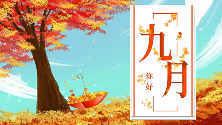 图片[1]-唯美枫树枫叶背景的九月主题PPT模板-第一PPT