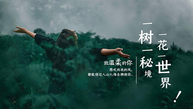 图片[1]-感受自然人物背景“一花一世界”杂志风PPT模板-第一PPT