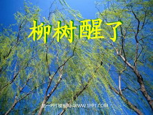 《柳树醒了》PPT课件2-第一PPT