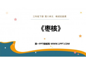 《枣核》PPT优质课件下载-第一PPT